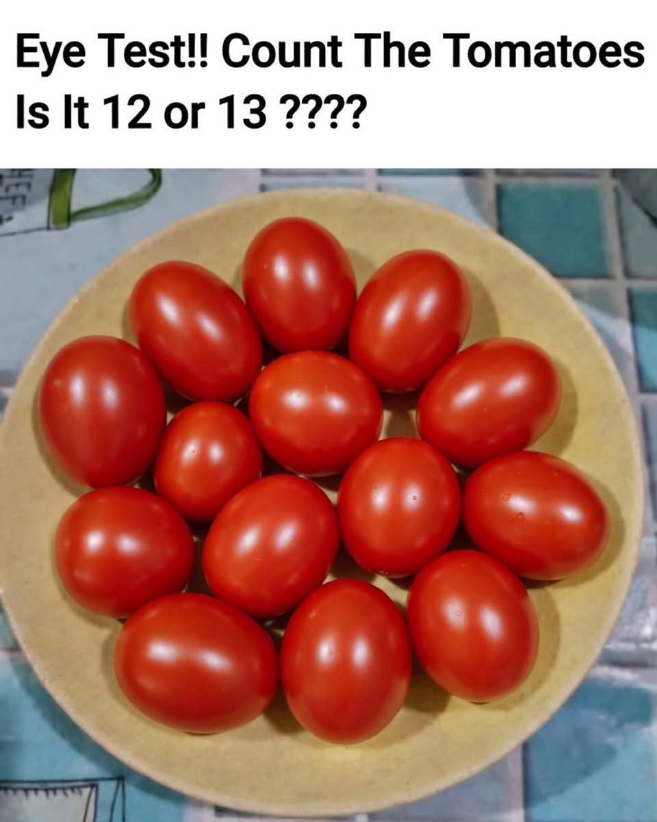 794104623_122335519412008294_6410845017881047376_n