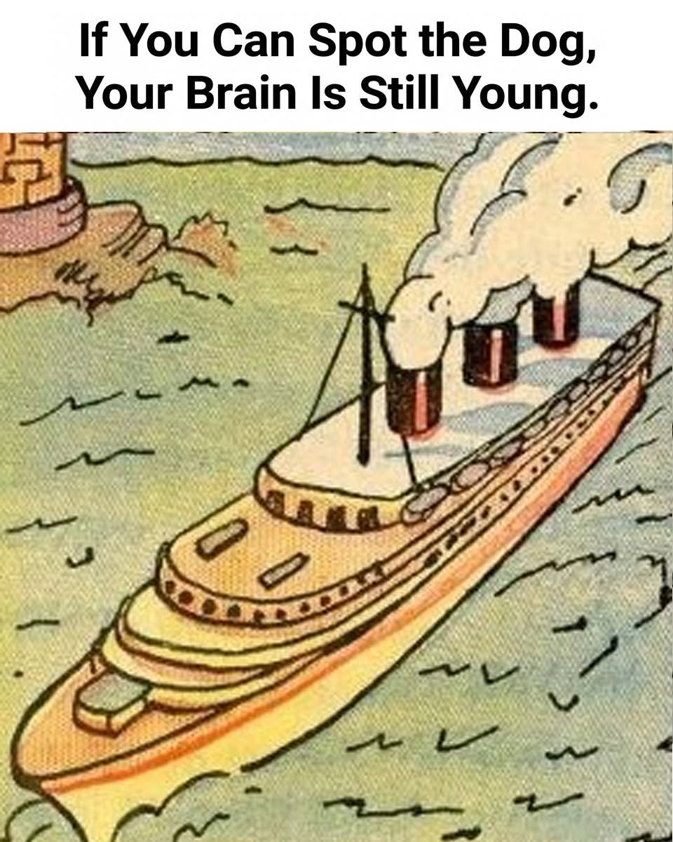 798985895_122335474916008294_5707107415315078836_n